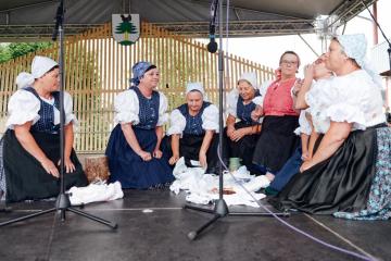 XI. Obecné slávnosti pod Ostrým vrchom XI. Obecné slávnosti pod Ostrým vrchom